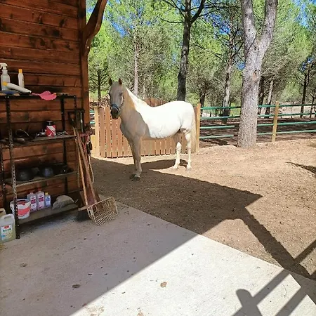 Family House Cup- Quinta Pinheirinhas Tomar