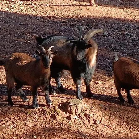 Quinta Pinheirinhas