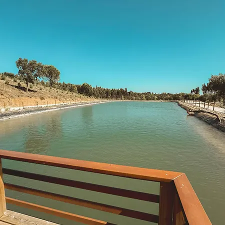 Family House Cup- Quinta Pinheirinhas Feriehus Tomar